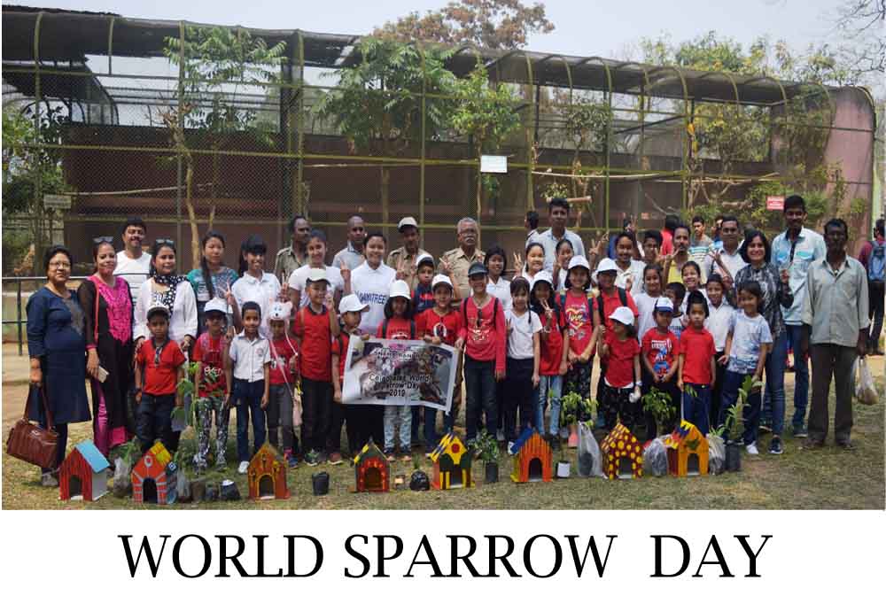 sparrow day